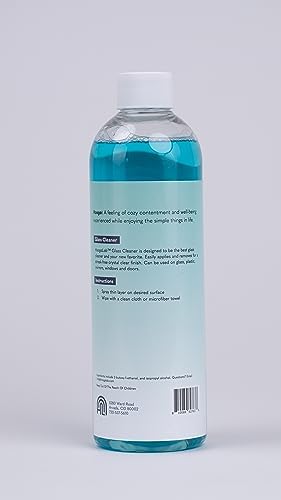 HoogaLab 16oz Glass Cleaner 2 Pack - No Streak All Shine