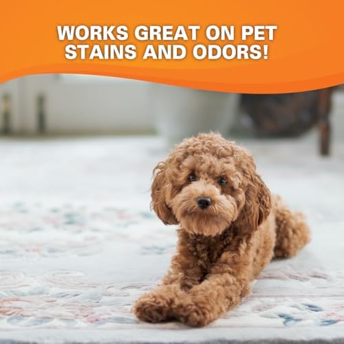 Krud Kutter CR012 Instant Carpet Cleaner Stain Remover with Deodorizer