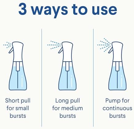 Clorox Disinfecting Mist with Reusable Spray