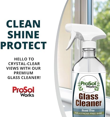PROSOL WORKS Glass Cleaner 16 oz - Multi-Surface