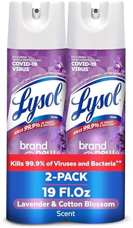 Lysol Disinfectant Spray - 19 Oz Pack of 2