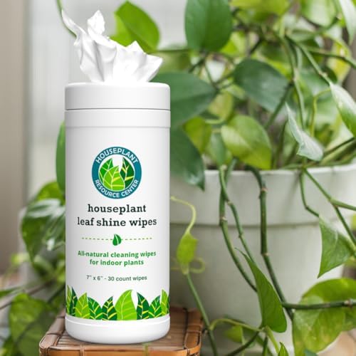 Houseplant Leaf Shine Cleaner Wipes 30 Count 1