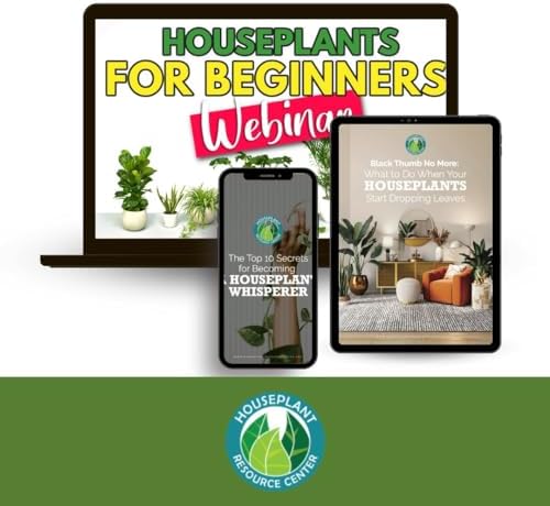 Houseplant Leaf Shine Cleaner Wipes 30 Count 1