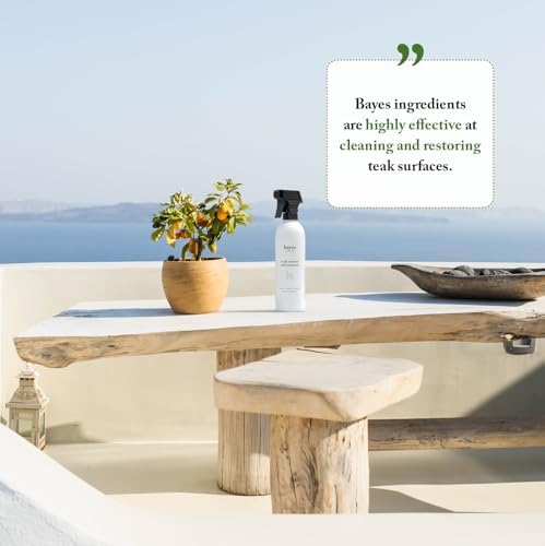 Bayes High Performance Teak Cleaner Restorer 16 oz