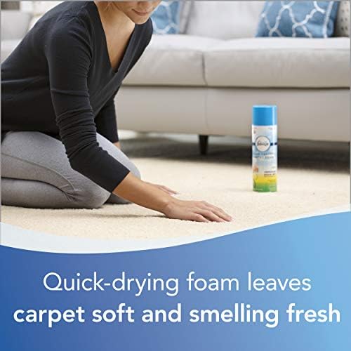 Bissell Heavy Traffic Carpet Foam 22oz Pack of 4