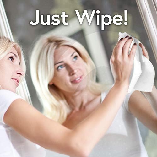 Windex Glass and Multi-Surface Cleaning Wipes 28 Count Pack of 6
