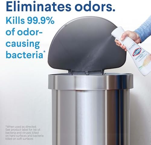 Clorox Disinfecting Mist with Reusable Spray