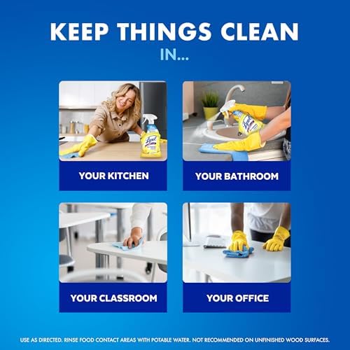 Lysol All Purpose Cleaner Spray 32 Fl Oz 1