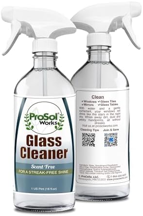 PROSOL WORKS Glass Cleaner 16 oz - Multi-Surface
