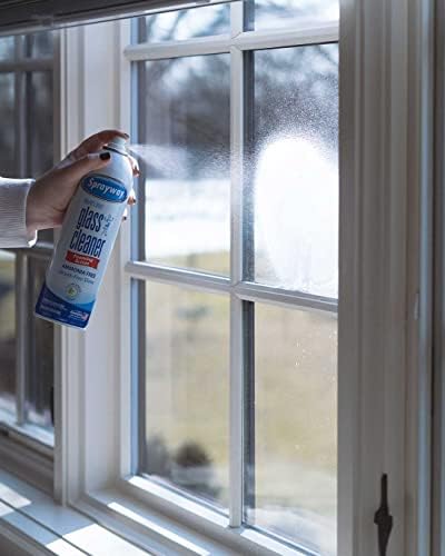 Sprayway Glass Cleaner Foaming 19 oz Pack of 12