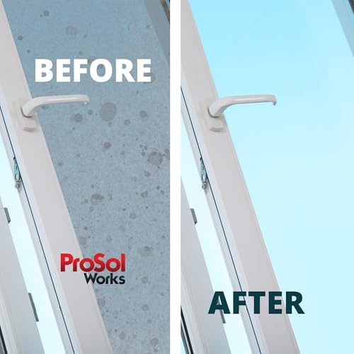 PROSOL WORKS Glass Cleaner 16 oz - Multi-Surface