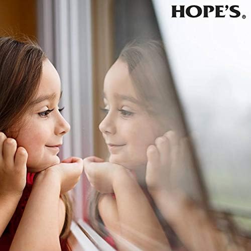 HOPES Streak-Free Glass Cleaner 32 Fl Oz