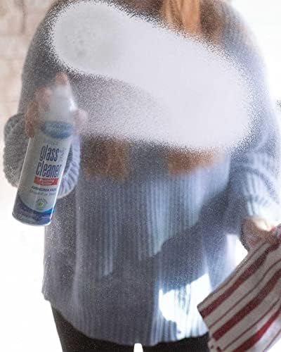 Sprayway Glass Cleaner Foaming 19 oz Pack of 12
