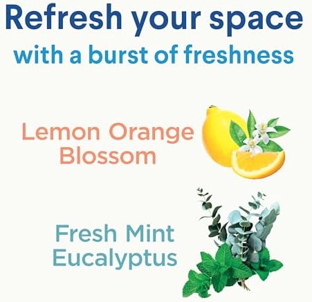 Clorox Disinfecting Mist with Reusable Spray