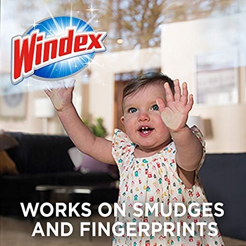 Windex Glass and Multi-Surface Cleaning Wipes 28 Count Pack of 6