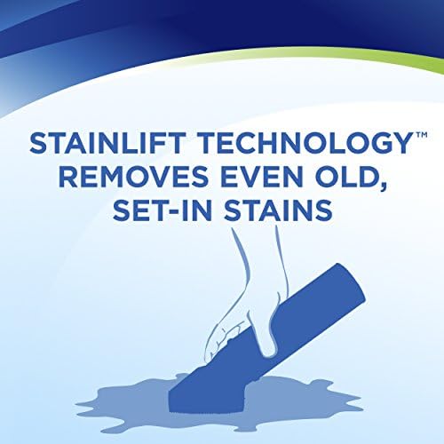Woolite 4 Pack Carpet Stain Remover - 83524