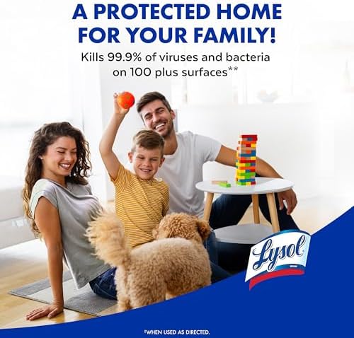 Lysol Disinfectant Spray 19 Fl Oz Pack of 2 1