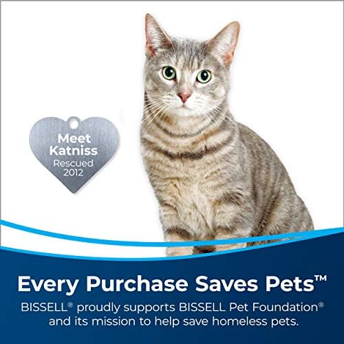 Bissell Pet Stain Odor Remover 22 Oz 2 Pack