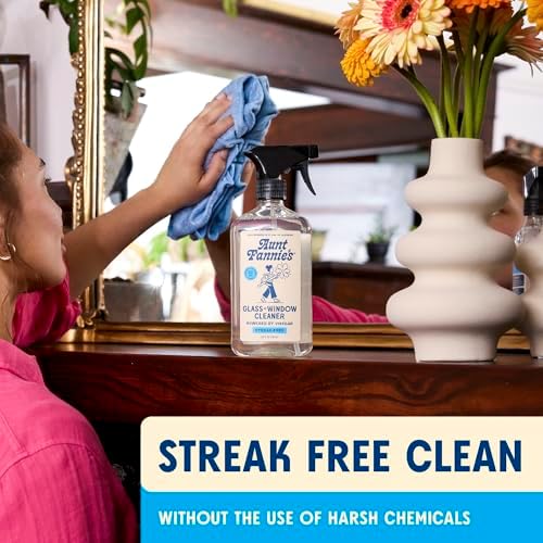 Aunt Fannies Streak-Free Vinegar Glass Cleaner 169 Ounces Pack of 3