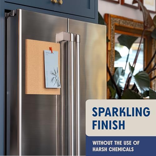Aunt Fannies Stainless Steel Spray Cleaner for Kitchen Appliances