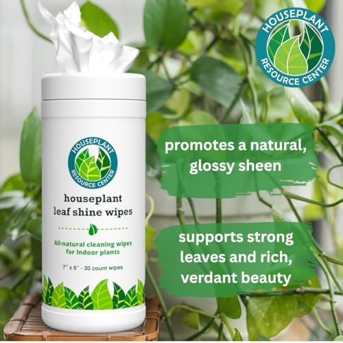 Houseplant Leaf Shine Cleaner Wipes 30 Count 1