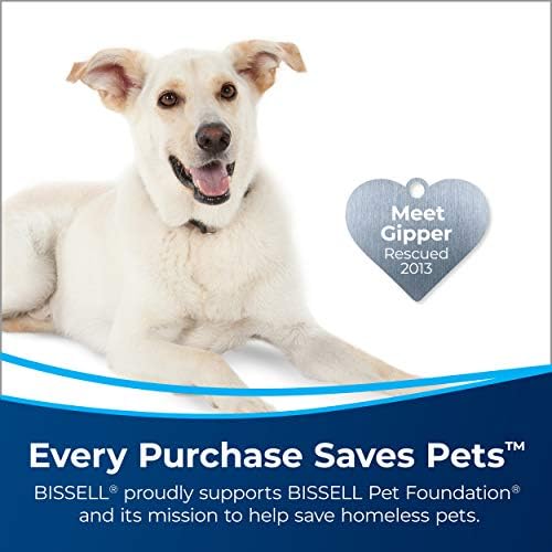 Bissell Tough Oxy Stain Pretreat Formula Pack of 2