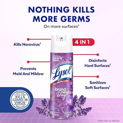 Lysol Disinfectant Spray - 19 Oz Pack of 2