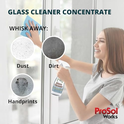 PROSOL WORKS Glass Cleaner 16 oz - Multi-Surface