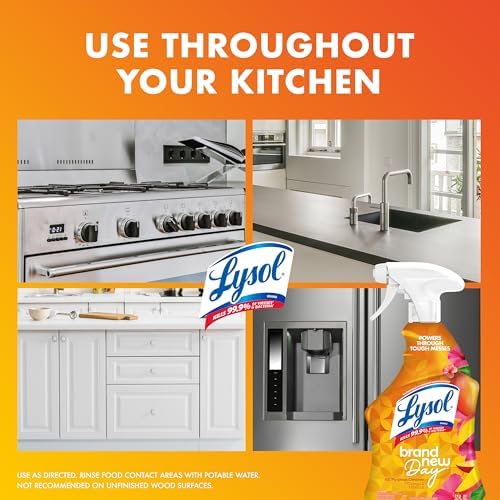 Lysol All Purpose Cleaner Spray 32 Fl Oz