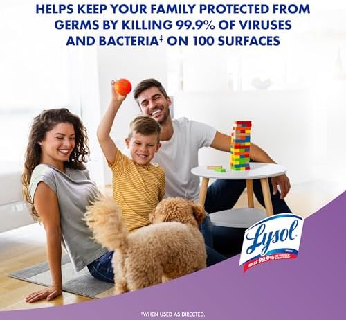Lysol Disinfectant Spray - 19 Oz Pack of 2