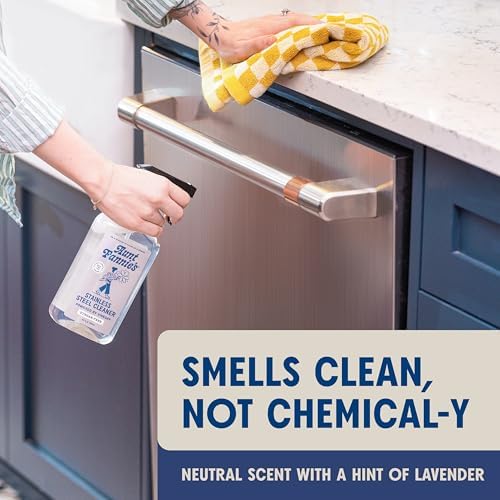 Aunt Fannies Stainless Steel Spray Cleaner for Kitchen Appliances