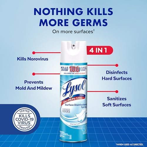 Lysol Disinfectant Spray 19 Fl Oz Pack of 2 1