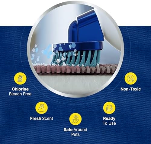 Carbona Upholstery Cleaner with Built-In Brush 1