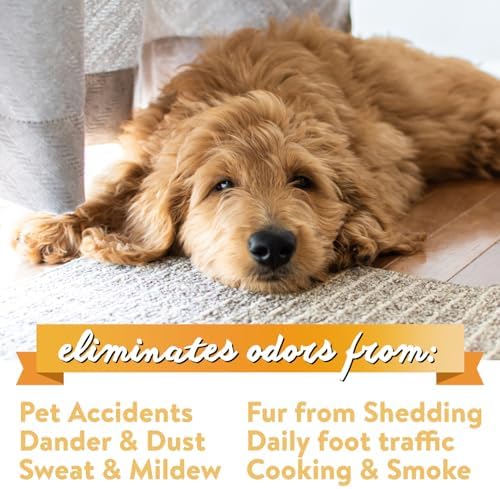 Bodhi Dog Natural Carpet Deodorizer Powder - Safe for Pets Kids