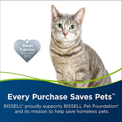 BISSELL 2X Pet Stain Odor Remover 60 Ounces