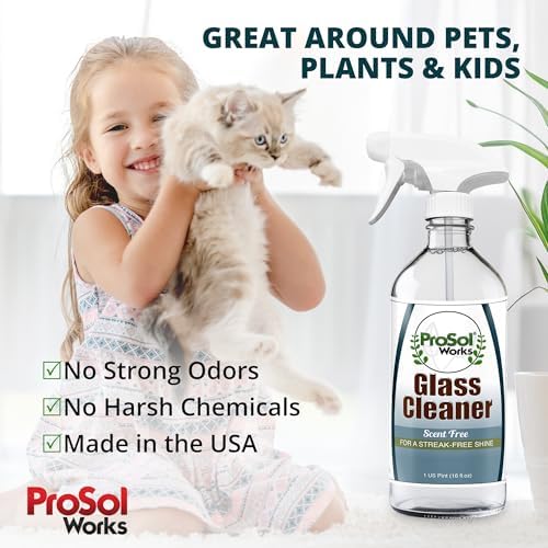 PROSOL WORKS Glass Cleaner 16 oz - Multi-Surface