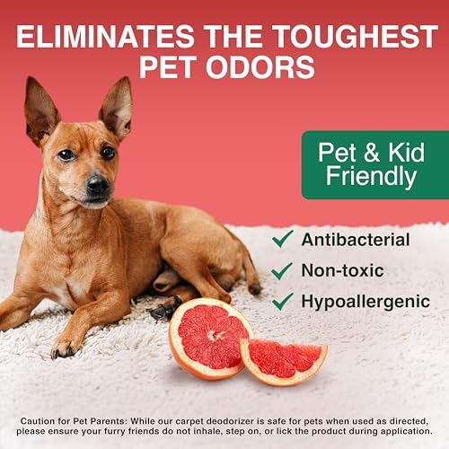 Good Natured Brand Carpet Deodorizer 31 oz Pet Friendly