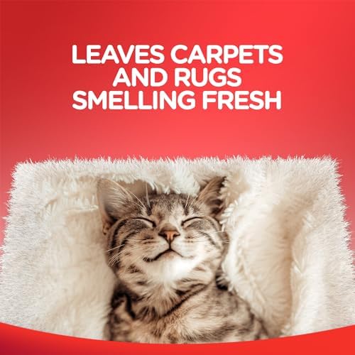 Resolve Carpet Spot Cleaner Spray 22 Ounce