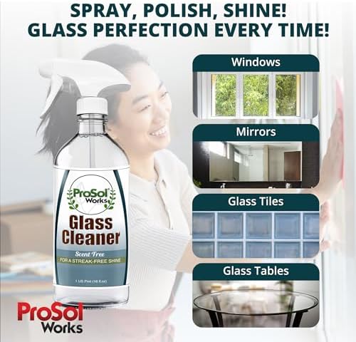 PROSOL WORKS Glass Cleaner 16 oz - Multi-Surface