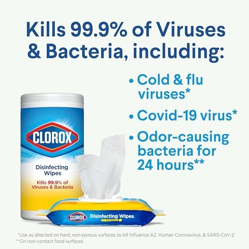 Clorox Disinfecting Wipes Value Pack 75 Count Each Pack of 2 1