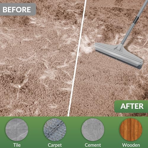 Walensee 61 Carpet Rake for Pet Hair Removal 1